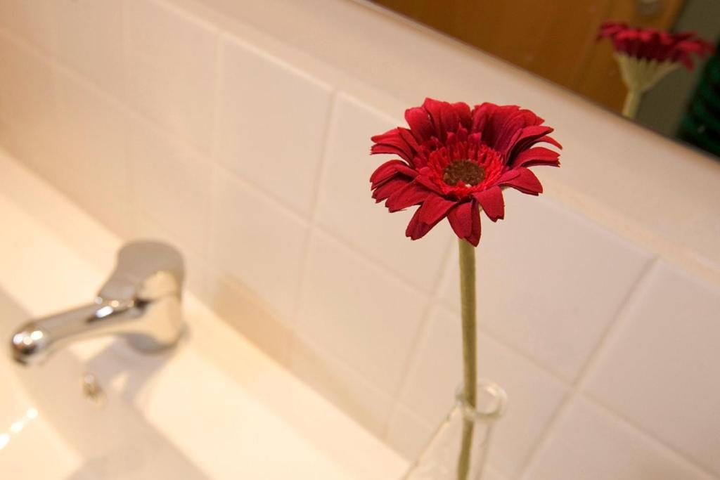 Apartaments Rural Montseny Gualba de Dalt Exteriér fotografie
