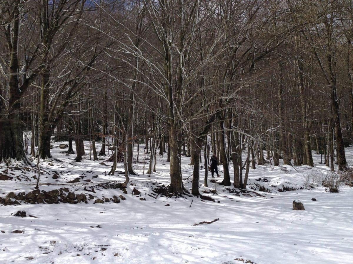 Apartaments Rural Montseny Gualba de Dalt Exteriér fotografie
